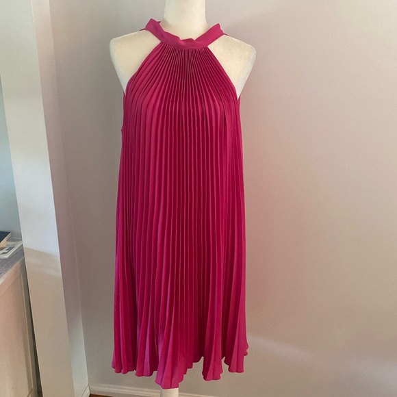 Banana Republic NWT raspberry pleated dress - Picture 2 of 11